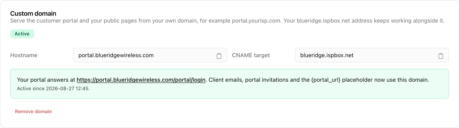 Custom domain card showing an active hostname and its CNAME target