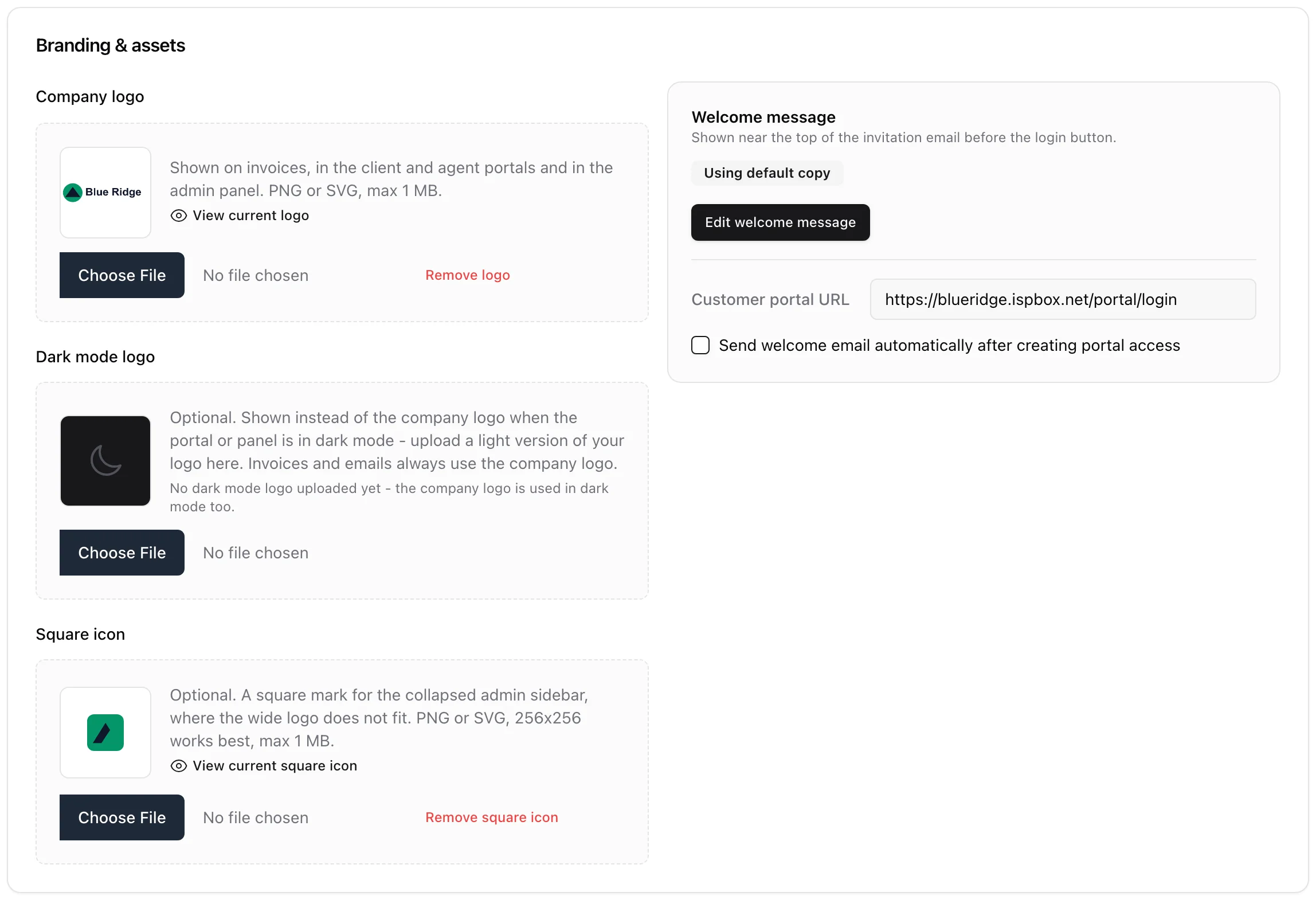 The Branding and assets card on Settings and Company: the company logo with a preview, an optional dark mode logo and an optional square icon