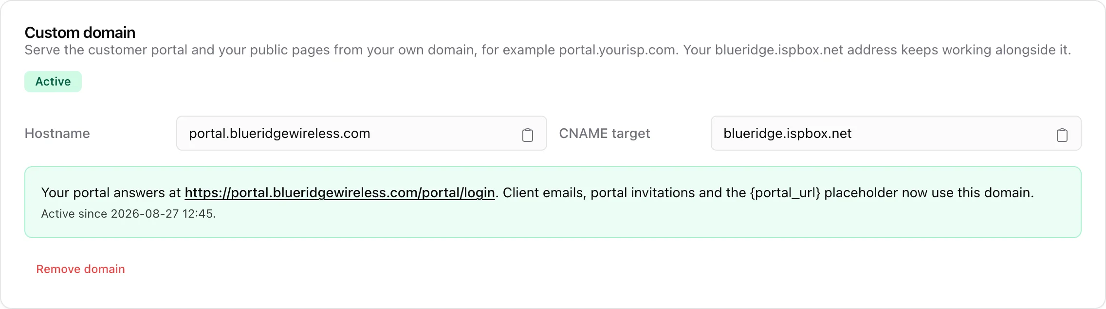 Custom domain card on Settings and Company with an active domain and the portal URL