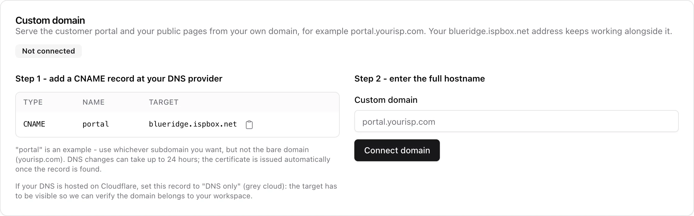 Custom domain card before a domain is connected: the CNAME instructions and the hostname field