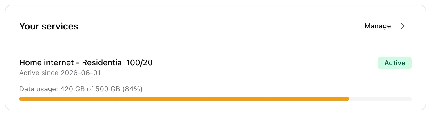 Customer portal service card showing Data usage 420 GB of 500 GB (84%) with an amber bar